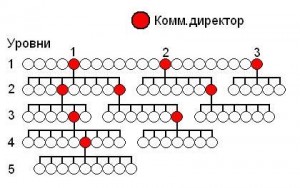 Реальная сетевая структура в развитии