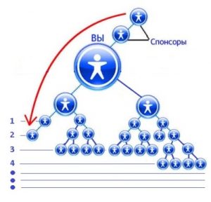 Маркетинг план компании QNet (кунет)