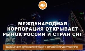 Новый сайт компании Lyconet