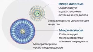 atomy-tehnologija-mikrokapsul