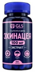 Эхинацея GLS